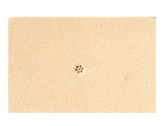 Item thumbnail for item 118b4aec-124d-4c61-a37f-ad2fd5152b84