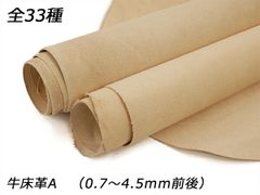 Item thumbnail for item 1ab3926c-4b16-4ae0-8092-9c3447717001