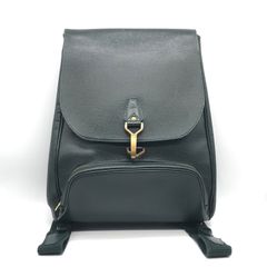 美品✨ルイヴィトン タイガ カシアー バックパック レザー