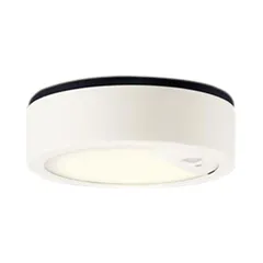 即納：パナソニック(Panasonic) 天井直付型 LED 電球色 軒下用シーリングライト 拡散タイプ 防雨型・FreePaお出迎え・ペア点灯可能型・シンプルタイマー・明るさセンサ付・段調光省エネ型 LSEWC2087LE1 1