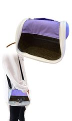 Item thumbnail for item f0797a8b-2426-4a22-be78-e23eba800cc6