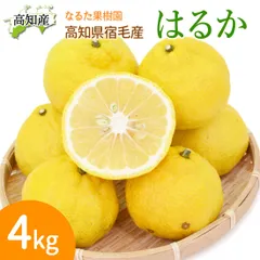 甘くて美味しい はるか 4kg 家庭用 20～28玉 M～2L 成田果樹園 4キロ 高知産 高知県宿毛市産 柑橘 フルーツ 酸味が無く上品な甘さ 美味しいみかん 産直 宅急便