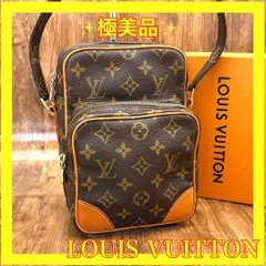 ⛄️極美品⛄️ルイヴィトン モノグラム アマゾン ダヌーブショルダーバッグ#27