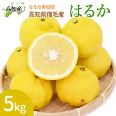 甘くて美味しい はるか 5kg 家庭用 25～35玉 M～2L 成田果樹園 5キロ 高知産 高知県宿毛市産 柑橘 フルーツ 酸味が無く上品な甘さ 美味しいみかん 産直 宅急便