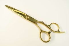 Item thumbnail for item ff879e37-0329-4075-8661-73c29f9fe880