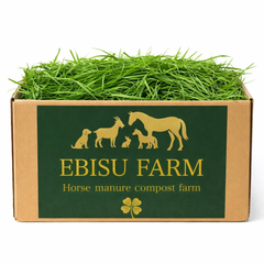 生牧草 国産とれたて 1kg 大容量 無農薬 うさぎ モルモット チンチラ ヤギ 競走馬 引退馬 乗馬  馬用 イタリアンライグラス クローバー オーツ ソルゴー