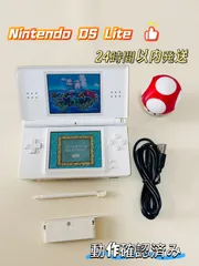 Nintendo DS Lite 本体 ホワイト 動作確認済 付属品あり