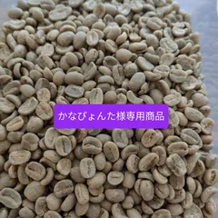 【かなぴょんた様専用商品】