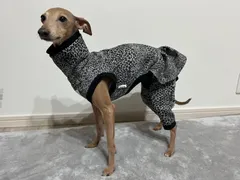 イタグレ服　フリル付きタンクロンパース　名前入れOK