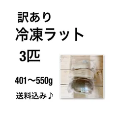 2026年最新】冷凍ラットの人気アイテム - メルカリ