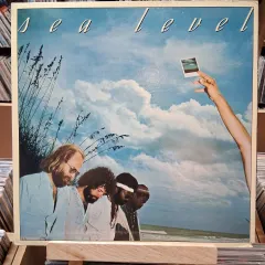ROCK バンド Sea Level 横糸 レベル LP