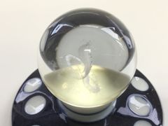 コブラ 剥製 ガラスケース入り 置物 - メルカリ