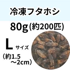 冷凍餌】 冷凍デュビア Mixサイズ 50g (約100匹入り) 爬虫類 両生類