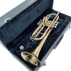 Item thumbnail for item 669624d1-b5b6-403e-9911-38188124894e