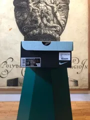 ナイキ エア ヴェイパーマックス 360 メタリックシルバー 280