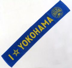 中古】クリアファイル 伊織もえ×ガイシューイッショク! A4コラボクリア