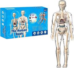 Item thumbnail for item 05a63202-4800-4e6e-ab8f-c38a0023284b