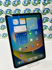 iPad Pro 11インチ 第1世代 Wi-Fi 64GB スペースグレイ MTXN2J/A A1980 訳アリ
