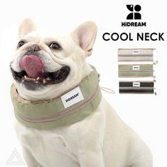 Item thumbnail for item 154e4200-6679-41ca-bc83-c44a90ddaaf7