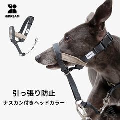 Item thumbnail for item bd95fe6f-ee3a-4d56-8e63-54882791c676