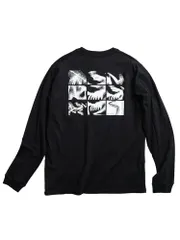 ARC'TERYX (アークテリクス) メンズ クラッグ SL コットン バード タイル Tシャツ 長袖 KRAGG SL COTTON BIRD TILEのサムネイル