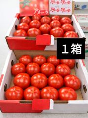 3ケース アメーラトマト 自信あります 高糖度 フルーツトマト - メルカリ