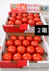 アメーラトマトASサイズ 15玉or16玉 2ケース - メルカリ