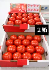 アメーラ アメーラトマト フルーツトマト トマト 野菜 市場直送 野菜商人 濃厚 凝縮 高糖度 濃縮 新鮮野菜のサムネイル