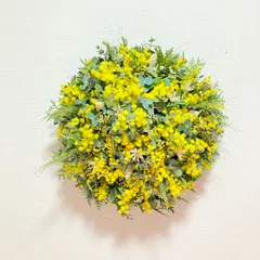 2026年最新】パールアカシアリースの人気アイテム - メルカリ