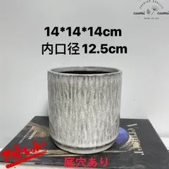 SC10 【訳ありSALE】 北欧 植木鉢 陶器鉢 お買い得 多肉 植物 鉢植え セール SALE 激安 レア 難あり インテリア プレゼント 海外 盆栽 花瓶 おすすめ プランター 人気 デザイン 観葉植物