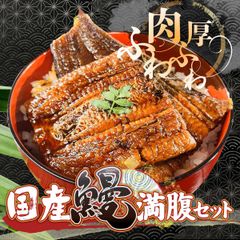 国産】うなぎの白焼き 4匹 - メルカリ