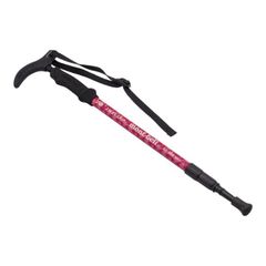 Item thumbnail for item 9e094fa7-cd8d-4e70-a204-b61a7fa20be7