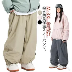 【予約販売】2月25日発送開始 スキーウェア パンツ レディース メンズ スノーボードウェア 下 単品 スノボウェア スノーウェア ボトムス おしゃれ 薄手 春秋用 カーゴ