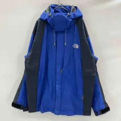 THE NORTH FACE ザノースフェイス メンズ ナイロンジャケット マウンテンパーカー GORE-TEX ブルー サイズ100 SUMMIT SERIES