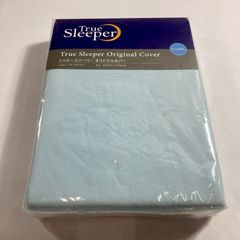 Item thumbnail for item 40a86558-2980-460e-a833-97efacb6cd1b