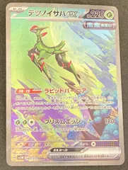 ﾎﾟｹﾓﾝｶｰﾄﾞ ﾃﾂﾉｲｻﾊex【SAR】【中古状態：A 】