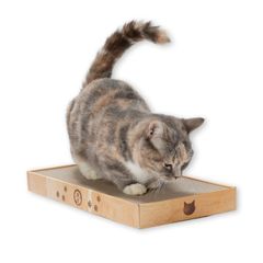 Item thumbnail for item 9fd4ffbf-ae39-4ec7-b885-a36eccdaa8f2