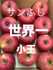 サンふじ　小玉　りんご　青森県産　約3キロ