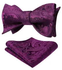 在庫処分 BC-01 蝶ネクタイ [HISDERN] 手結び チーフ付き メンズ ペイズリー ボウタイ セット 結婚式 入学式 披露宴 プレゼント パーティー 色選択