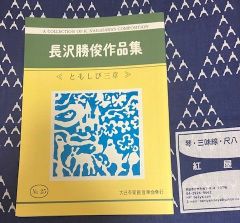 Item thumbnail for item 69150b05-1aa2-4135-a5d0-bfe5fcd3158c