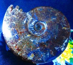 ❇神秘の宝石♎レクライ⭐️金色♌ポンカーン♉タイのお守り