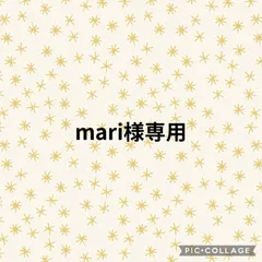mari様専用ページ☆。.:＊・゜