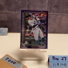 Item thumbnail for item 8aa4ce7b-b372-4ee6-901d-311ccd17c3e8