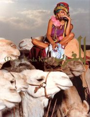 Item thumbnail for item 7e86052c-9657-4ab8-a6db-0bb7128aa966