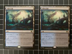 カープルーザンの森/Karplusan Forest 6ED日本語2枚 - メルカリ