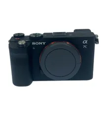2026年最新】SONY(ソニー) Vlog用カメラ レンズ交換式VLOGCAM APS-C