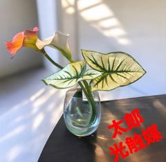光触媒 人工観葉植物 ウォールグリーン フェイクグリーン アーモンドS1