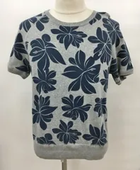 チャンピオン×トッド・スナイダー Champion×TODD SNYDER 半袖 カットソー スウェット X-SMALL グレー/ネイビー 2601WR153