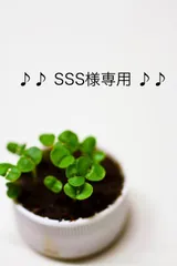 ♪♪SSS様専用♪♪【229】【295】布ナプキン　防水有り５層１９cm  ４枚＋おまかせ柄１枚