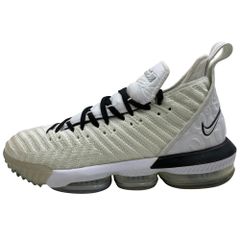 NIKE ナイキ BQ5969-100 LEBRON 16 EQUALITY レブロン イクオリティ